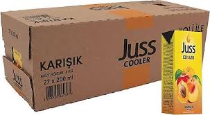 JUSS COOLER 200 ml. KARIŞIK